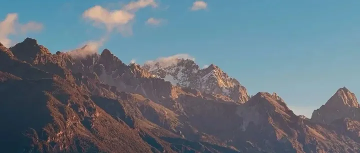 看完字节的Agent布局，坐不住了！