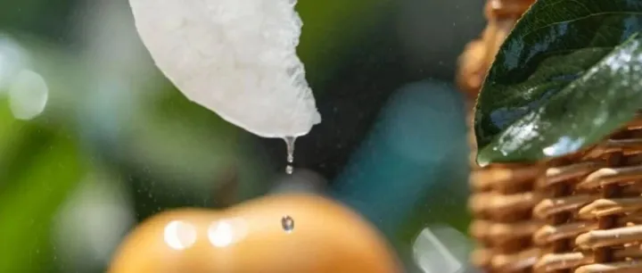 【梨届顶流】秋月梨，即将甜润上新~