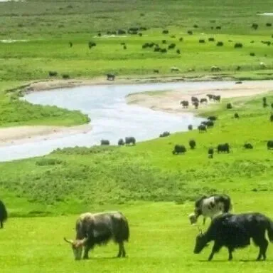 <em>跨</em><em>平台</em>AI搜索追踪与竞品分析