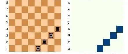 突破RNA结构预测难题！创新算法RFold，效率提升8倍+