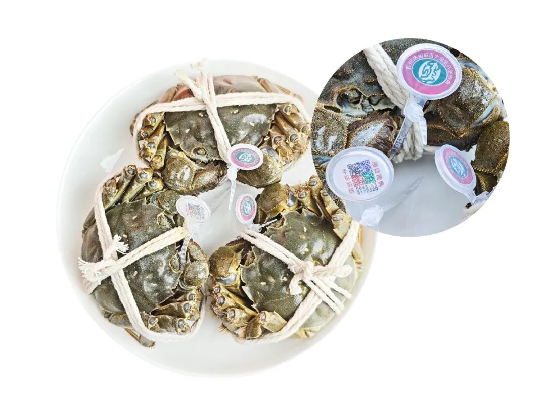 阳澄湖大闸蟹产地_1_阳澄湖大闸蟹专卖_来自小红书网页版.jpg