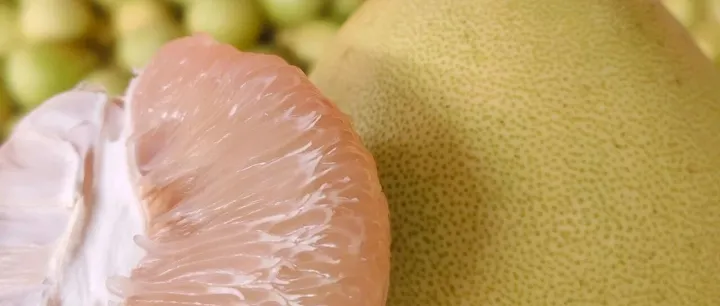 湖南<em>怀化</em>小粉柚