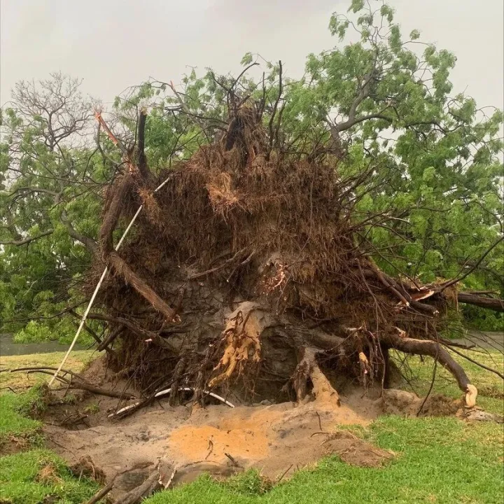 西澳逾3万户停电！珀斯多社区受影响，供电时间公布