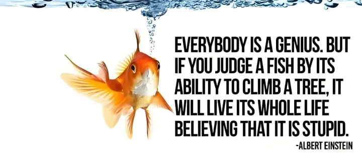 来自哈佛的最震撼教育演讲：“一条鱼，不该被迫去爬树”