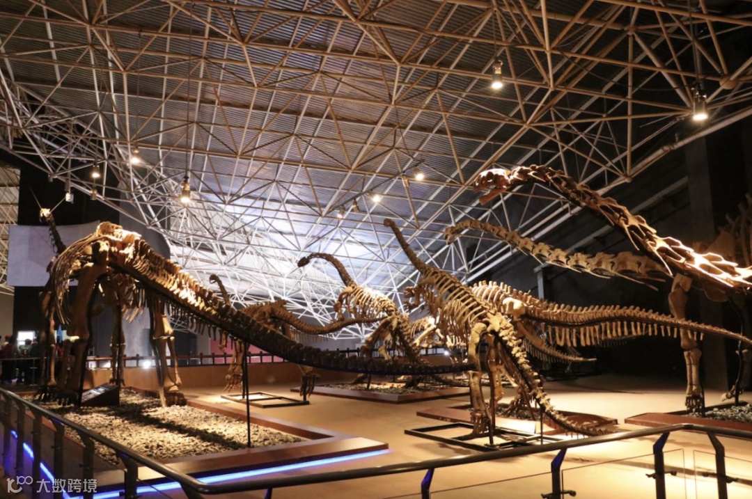 截屏2023-03-13 下午4.54.44.png