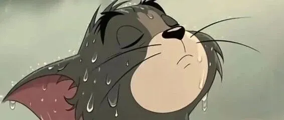 觉得交易很苦，草根值不值得以交易为生?