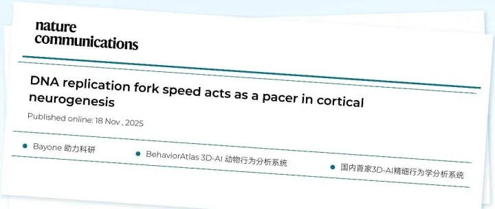 Nature Communications | 中科院昆明动物所石磊团队基于 AI 精细行为发现 DNA 复制速度快可致焦虑！