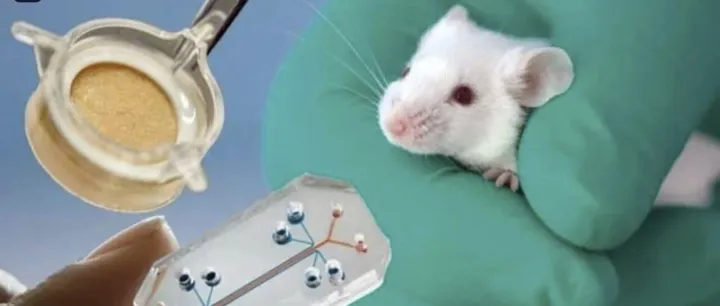 传统动物试验到非动物测试的趋势