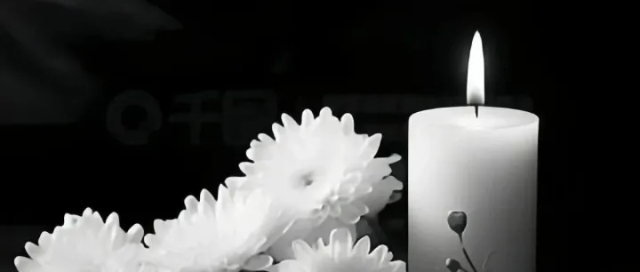 吴葵生：斯人已去，风范长存---深切缅怀陈小辛先生