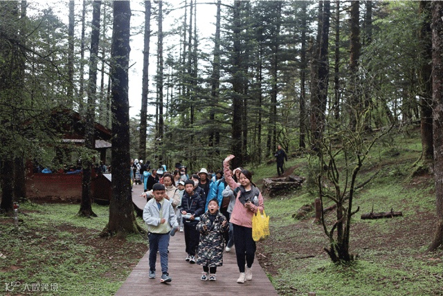 截屏2023-03-14 上午11.22.43.png