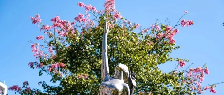 你眼中的SIAT征集 | 平时忙到飞起的你 有没有不经意间被温柔接住