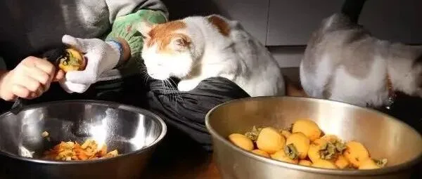 12月16日晚21:30，新款针织衫，微信urelaine666，不定时上新，卖完即删