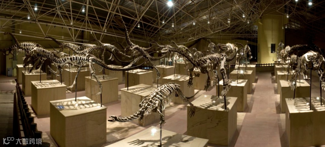 截屏2023-03-13 下午6.24.09.png