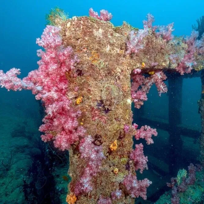 警报<em>拉</em>响！地球触发首个“气候临界<em>点</em>”