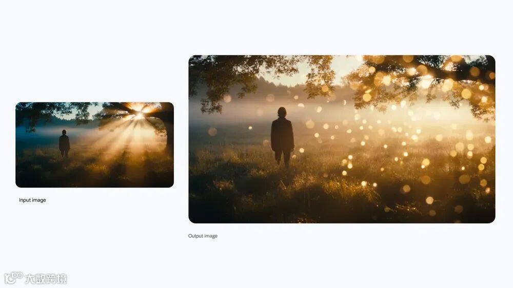 一个在金色散景和晨雾中迷失的剪影。