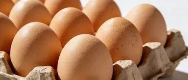 鸡蛋：近弱远强的高升水，怎么看？