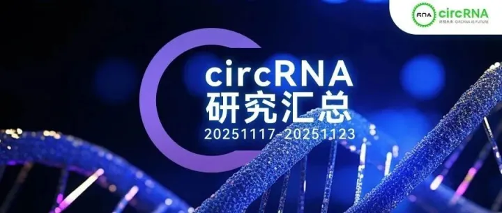 circRNA研究汇总丨20251117-20251123