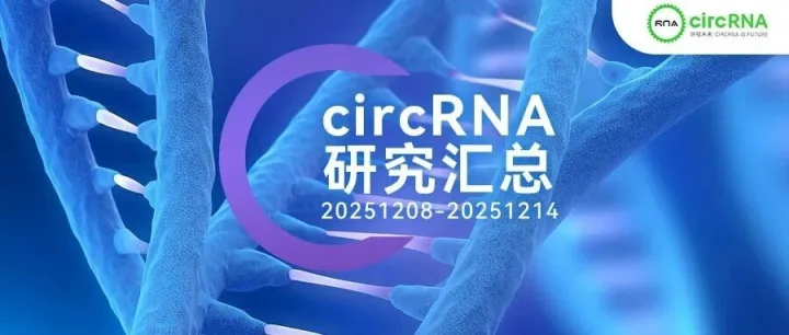 circRNA研究汇总丨20251208-20251214
