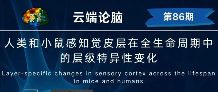 云端论脑 第86期预告｜人类和小鼠感知觉皮层在全生命周期中的层级特异性变化