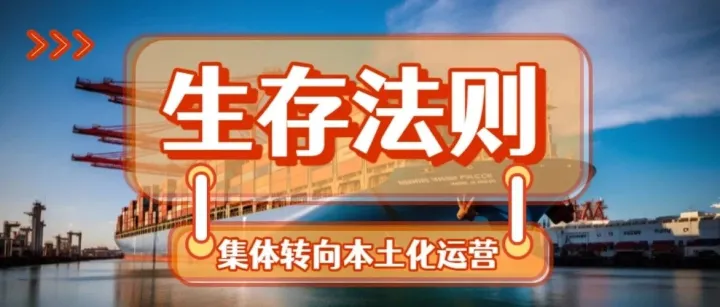 從“賣貨”到“本地化生存”的重生之路！誰能拿到新船票？