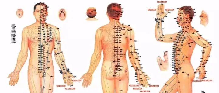 经络养生≠瞎拍打！中医名师划重点：每天 5 分钟疏通经络，免疫力翻倍不踩坑