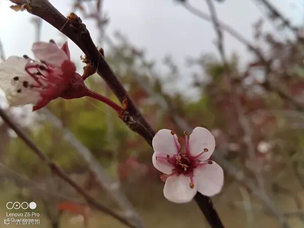 联想Z6 Pro评测:“超级视频四摄” 5G视频时代的引领者