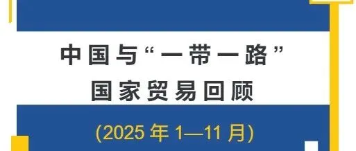 中国与“一带一路”国家贸易回顾（2025 年 1至11 月