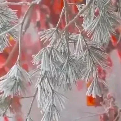 我国已经进入拉尼娜状态！