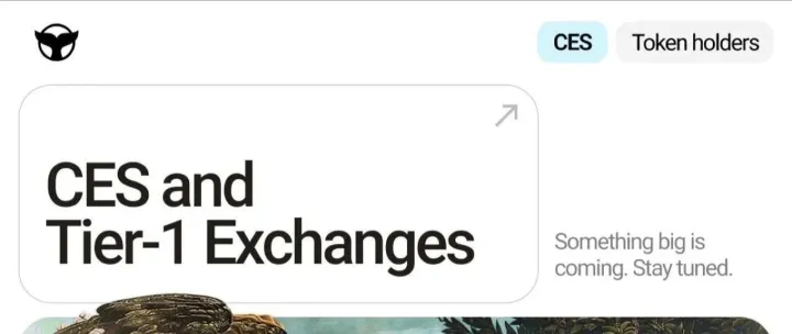 Meta Whale 的鲸鱼币 CES 会在哪三个一级交易所亮像呢？