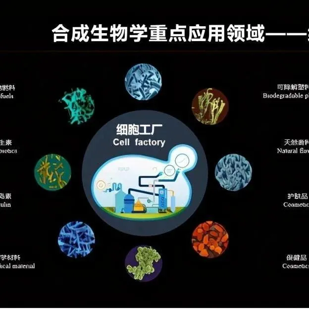 2024年合成生物学技术供应商的全球市场分析