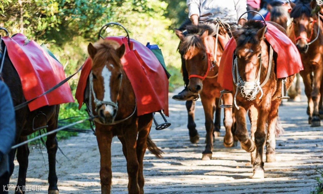 截屏2023-03-13 下午1.50.07.png