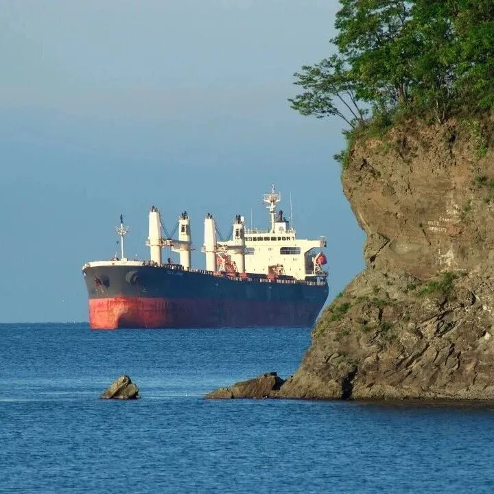 好望角型船期租租金因波交所指数上涨而走强，而巴拿马型船和超大灵便型船市场则保持守势，延续了其疲软态势