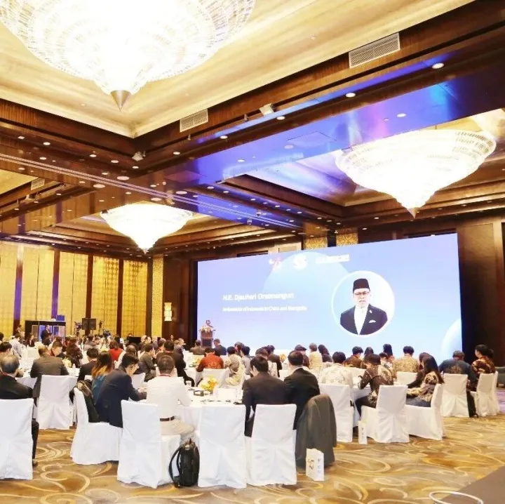 CCG, Indonesian Embassy Mark 75 Years of China–Indonesia Ties