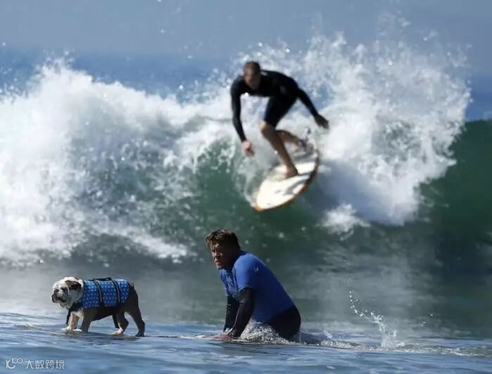 从图库选择图片
