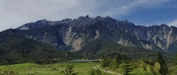 沙巴观鸟招募│深入探索婆罗洲野生动物，打卡国际观鸟旅行的朝圣地