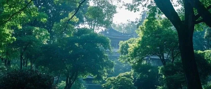 亚马逊电商平台核心专有名词详解