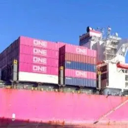 ONE、HMM、YM三家船司更新2026年东西向航线网络！