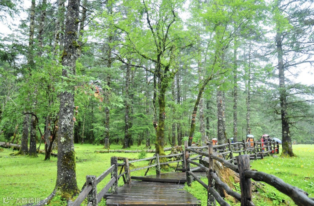 截屏2023-03-14 上午11.22.04.png