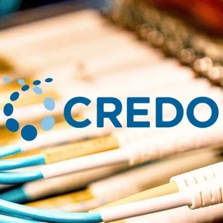 牛! 美国华人靠一根线成亿万富豪 股价一年飙涨250% 马斯克都用他们的产品!