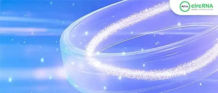 中科大张凯铭/李珊珊团队解析T4 td内含子RNA环化结构机制，为circRNA制备提供更优方案