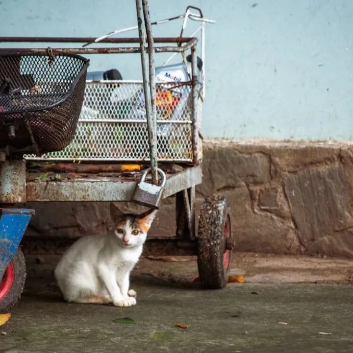 曼音乐丨和窗外的群山，一起单曲循环