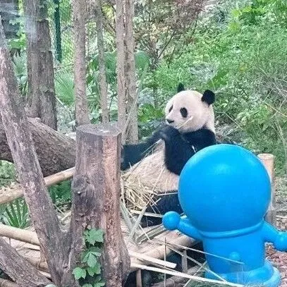 面试官：写过后端接口吗？REST API 了解多少？