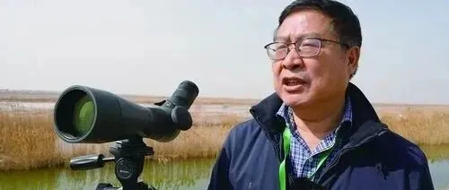 “啊呀，我开心得不得了！”一位科学家爱上观鸟