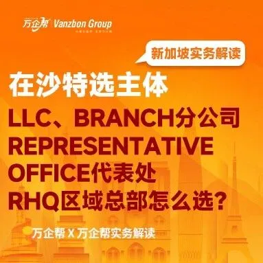 萬企幫實務(wù)解讀｜沙特選主體：LLC、Branch分公司、Representative Office代表處、RHQ區(qū)域總部怎么選？