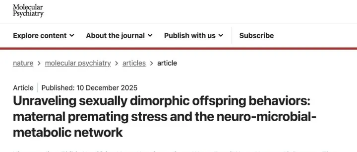 Mol Psychiatry｜揭示母代孕前压力应激影响子代成年后精神行为的脑体互作网络机制