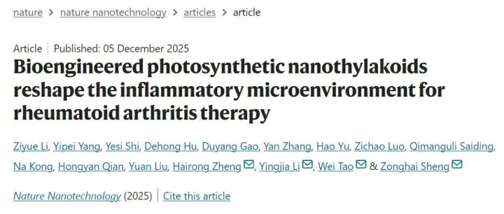 Nature Nanotechnology | 光合类囊体重塑炎症微环境