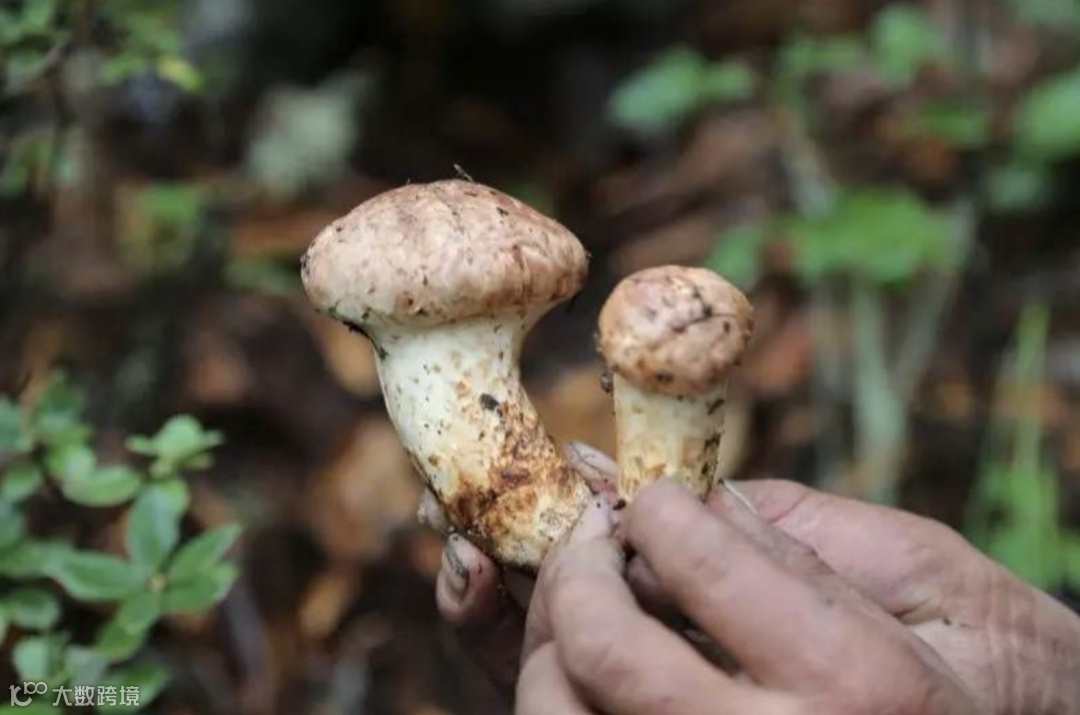 截屏2023-03-14 上午11.39.46.png