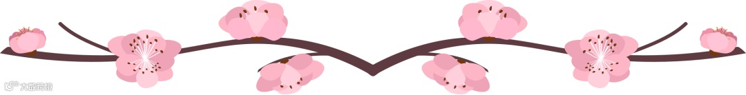 桃花分割线