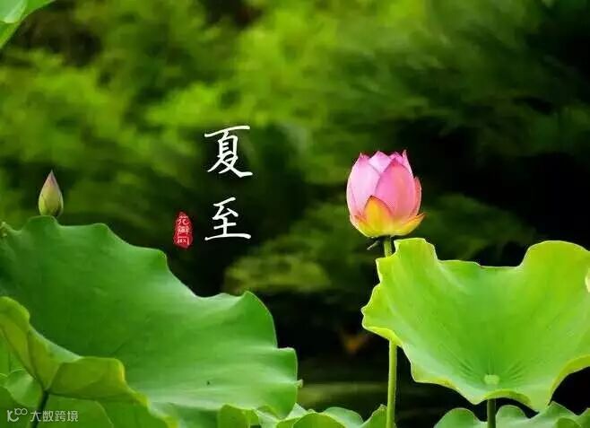 从图库选择图片