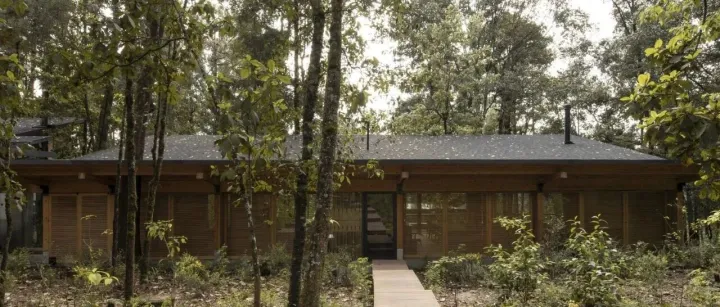 墨西哥森林木屋